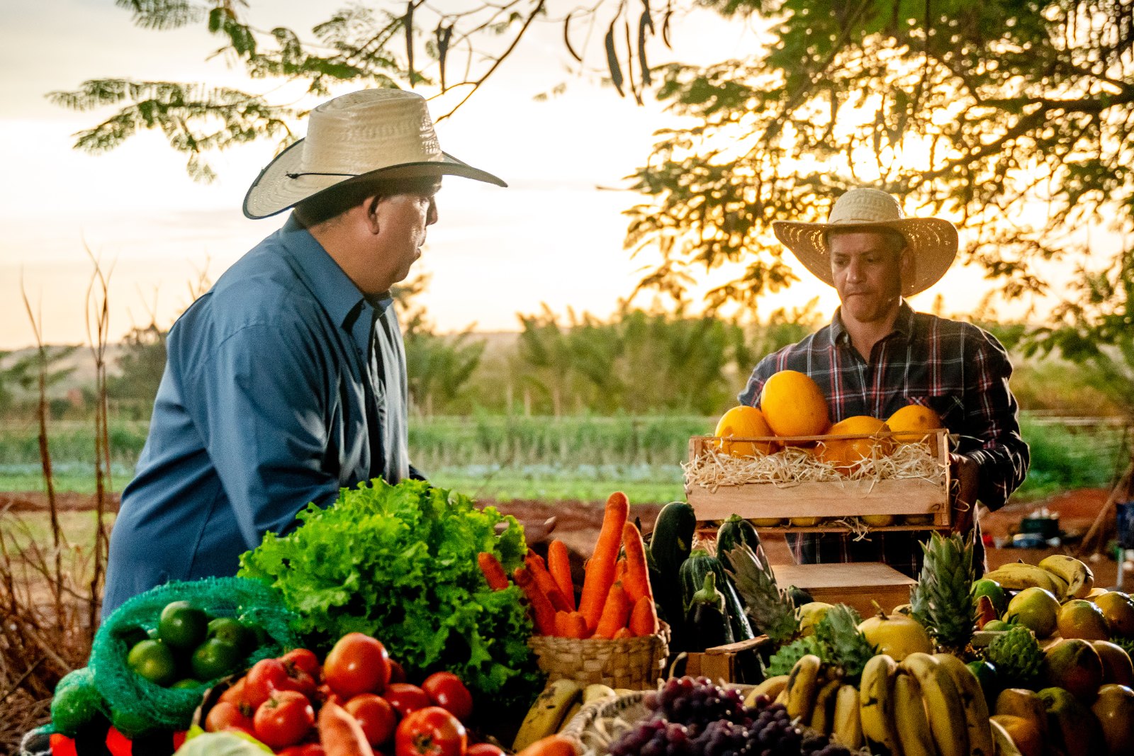 Produce stand at a Saturday farmers market, one of the reliable things to do in Fayetteville this weekend