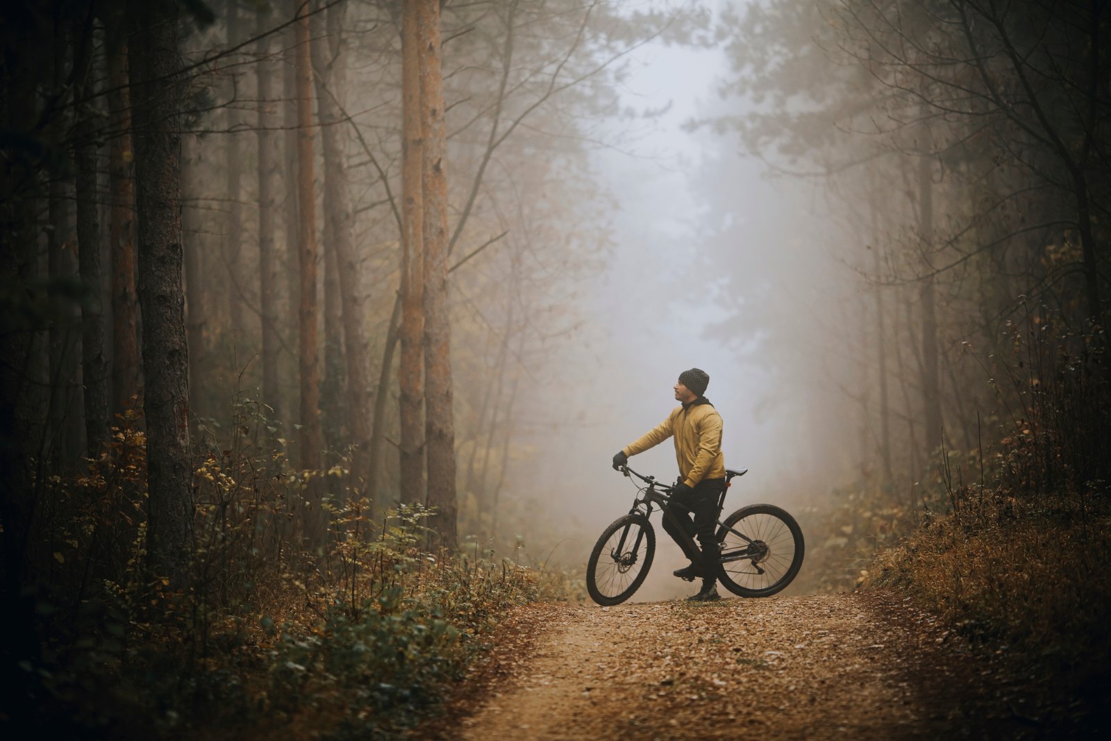 Mountain biker on a wooded singletrack trail in Northwest Arkansas